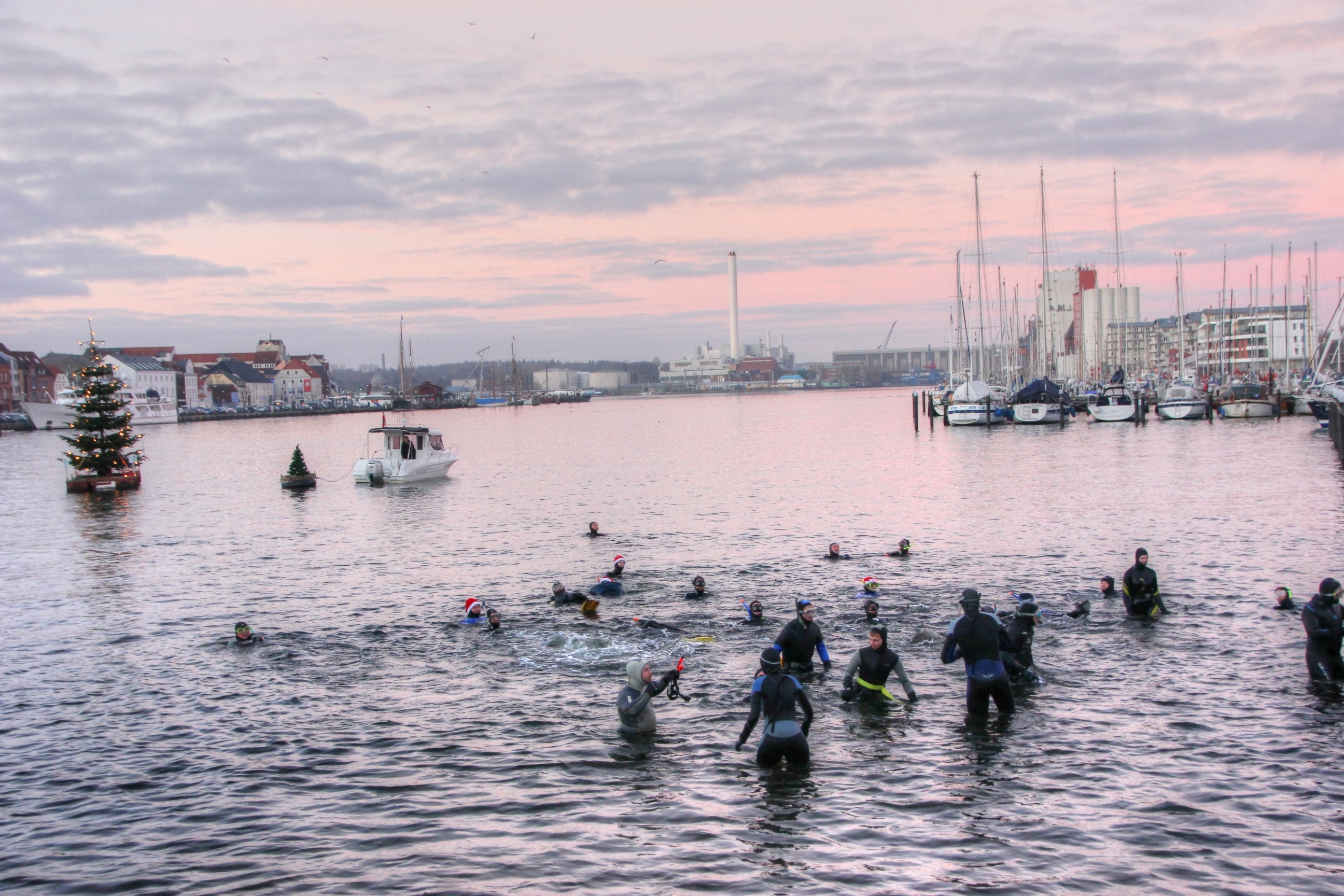 50. Adventschwimmen des UC Baltic Flensburg e.V.