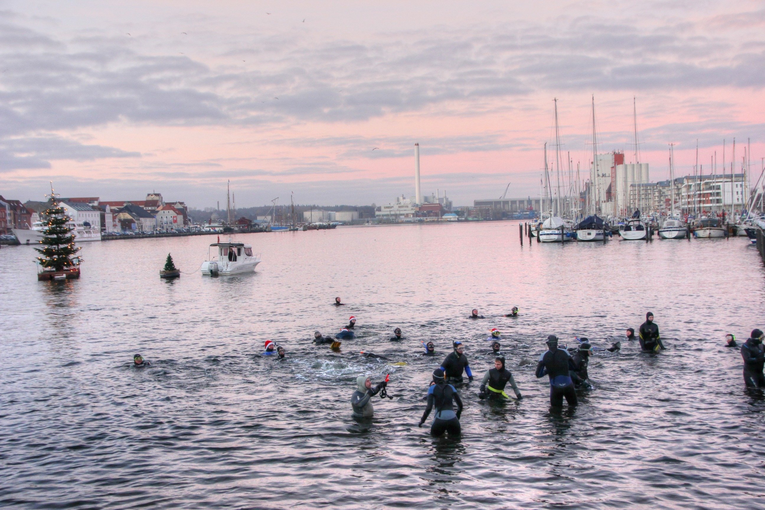 49. Adventschwimmen des UC-Baltic Flensburg