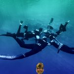 Ausschreibung: Tauchsicherheit und Rettung Apnoe